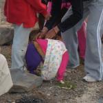 Dog getting dolled up