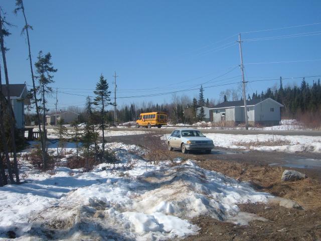 School Bus driving by.