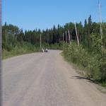 You can see them just up ahead....