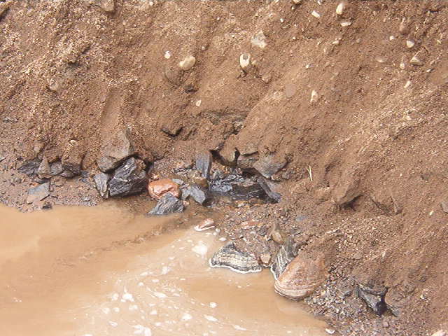 A pic of water coming from the ground.