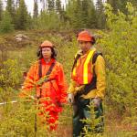 Brush cutting in North Spirit Lake, 
at the airport.