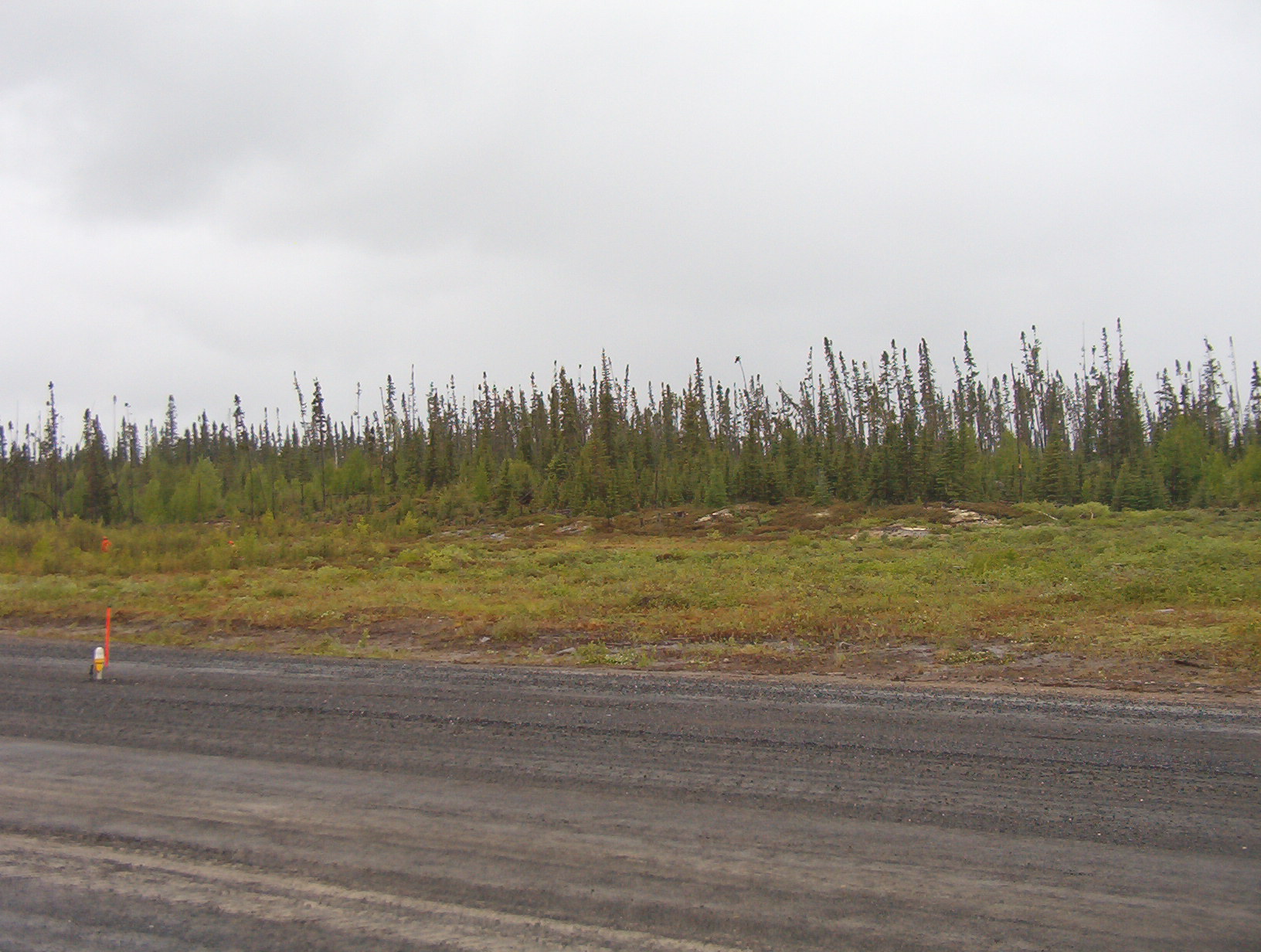 Another view of all the hard work done.