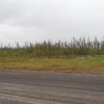 Another view of all the hard work done.