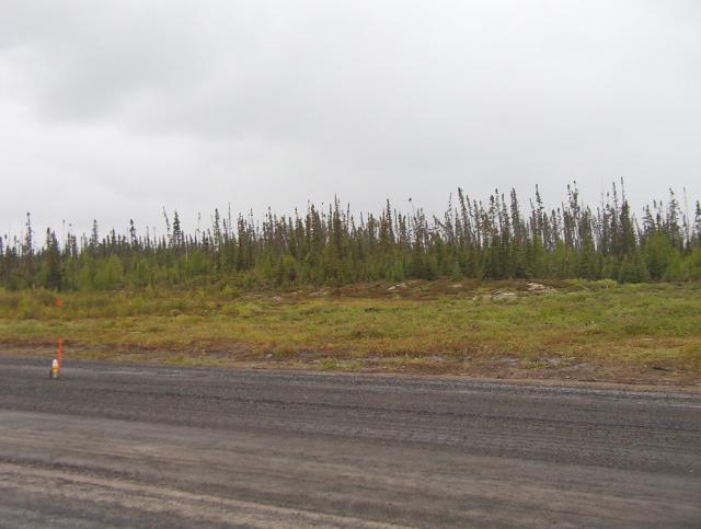 Another view of all the hard work done.