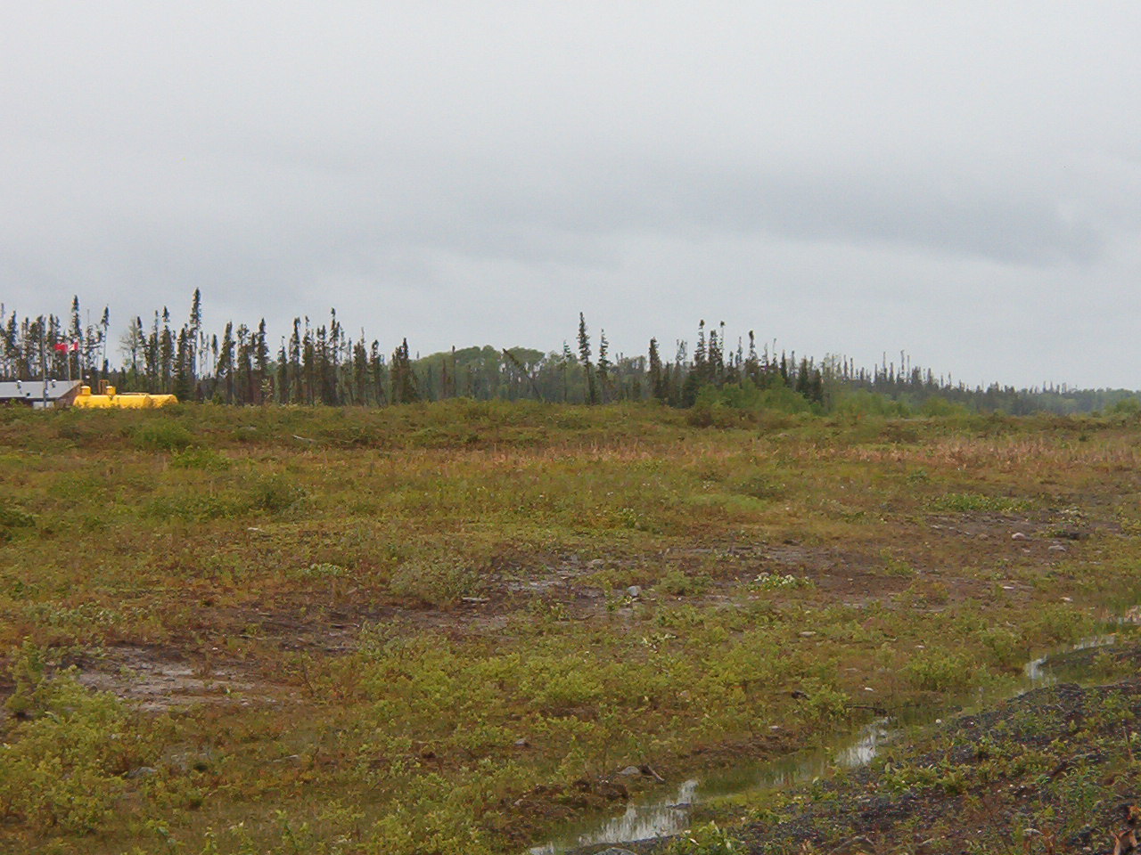 Lots of work has been done by these two young men, and it's not even right around the whole runway.