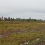 Lots of work has been done by these two young men, and it's not even right around the whole runway.