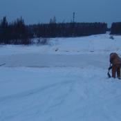 Reinforcing the road with thicker ice.