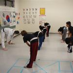 Tae Kwon Do in NSL