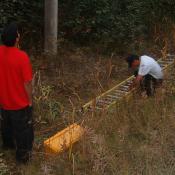Brian looking way up while Oscar gets ready to ascend.