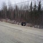 Blair Electronic in NSL