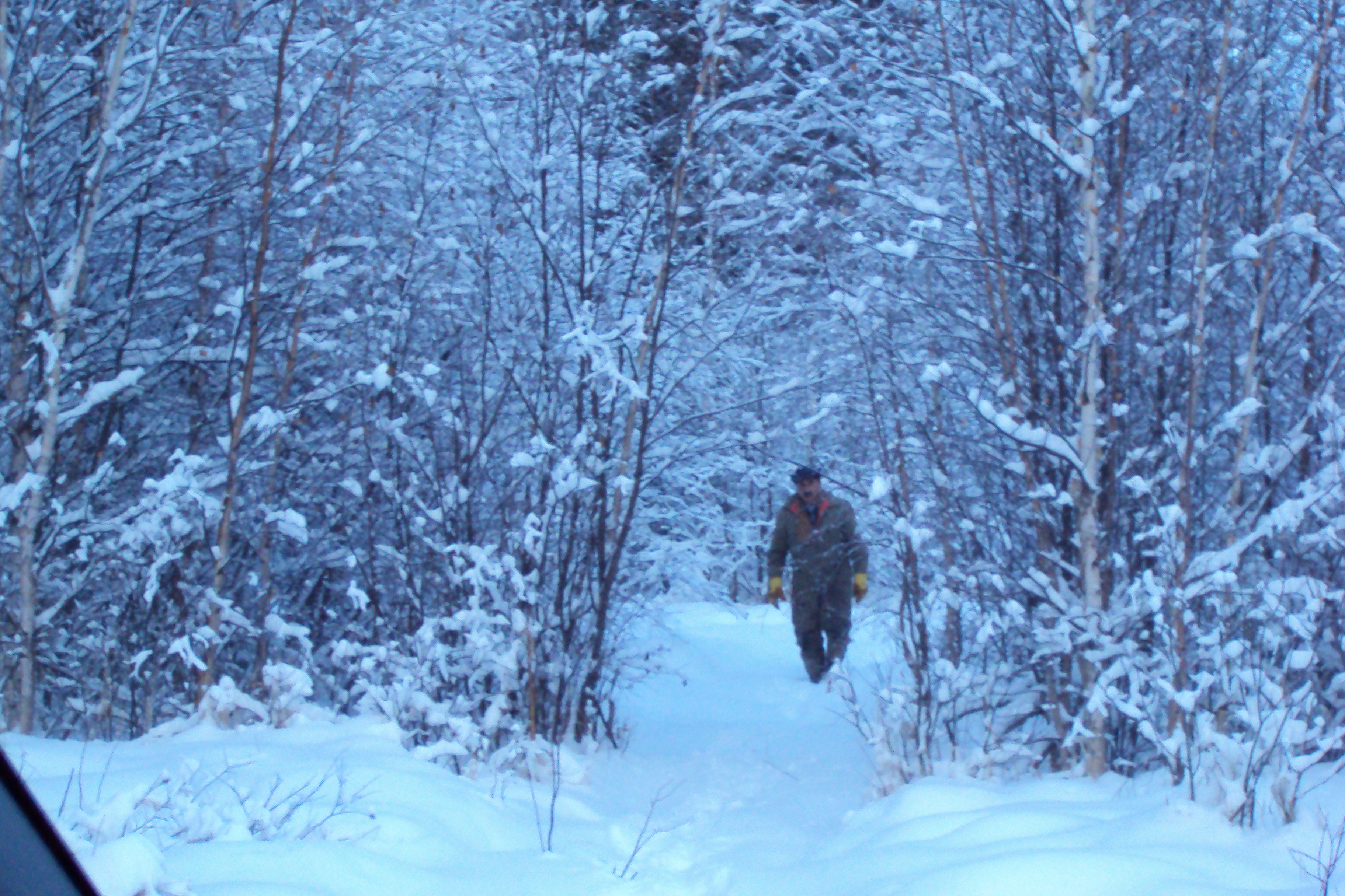 Beautiful scene of dad walking out from checking for tracks.