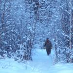 Beautiful scene of dad walking out from checking for tracks.
