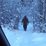Peaceful walk on an old skidoo trail, checking for tracks.